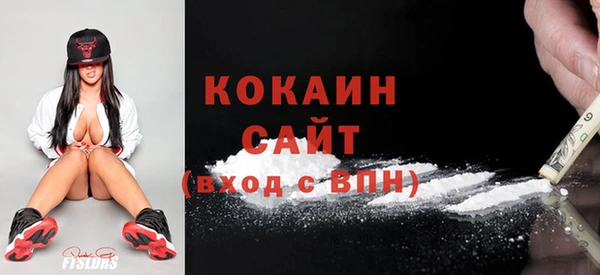 эйфоретик Богданович