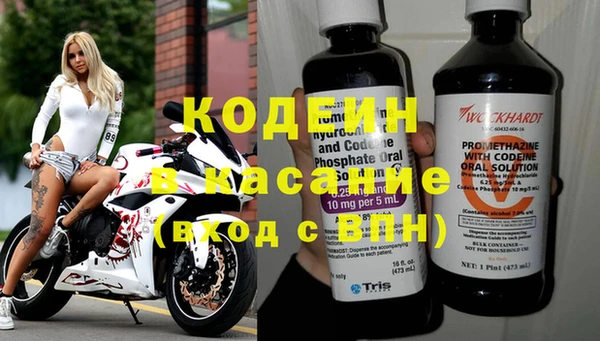 эйфоретик Богданович