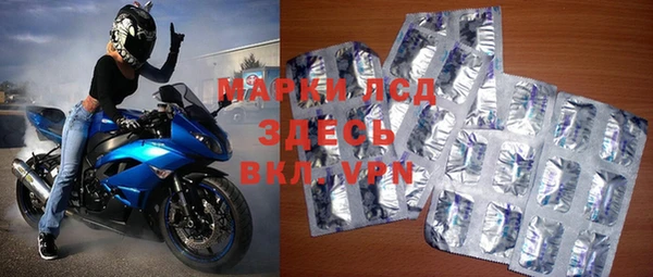 эйфоретик Богданович