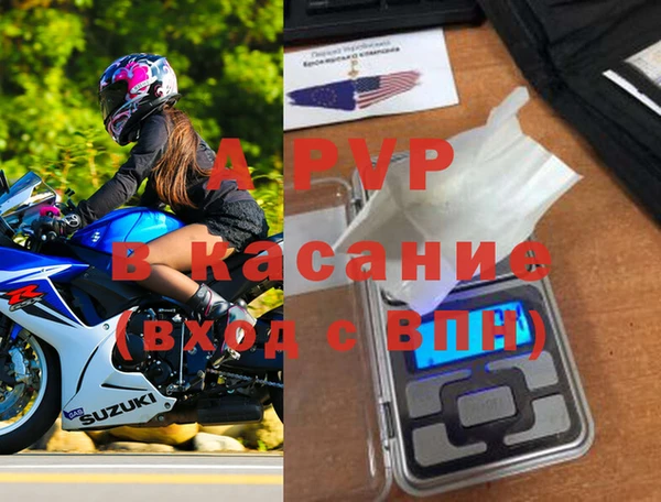 эйфоретик Богданович