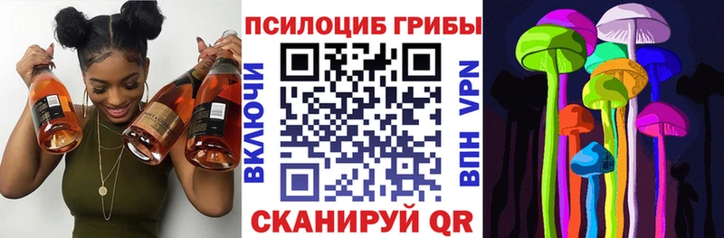 Псилоцибиновые грибы GOLDEN TEACHER  MEGA tor  Наро-Фоминск  как найти закладки 